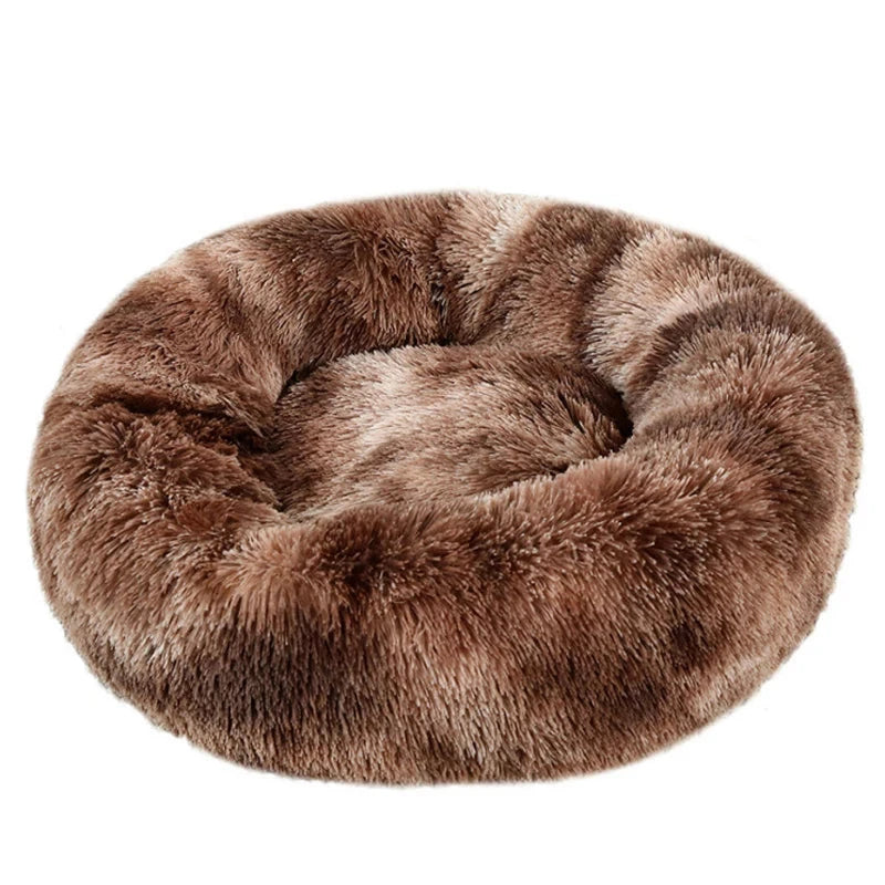 DREAMY NEST