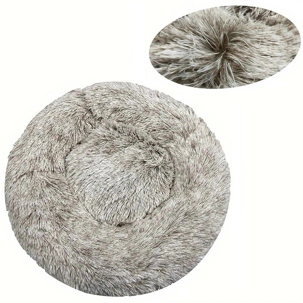 DREAMY NEST