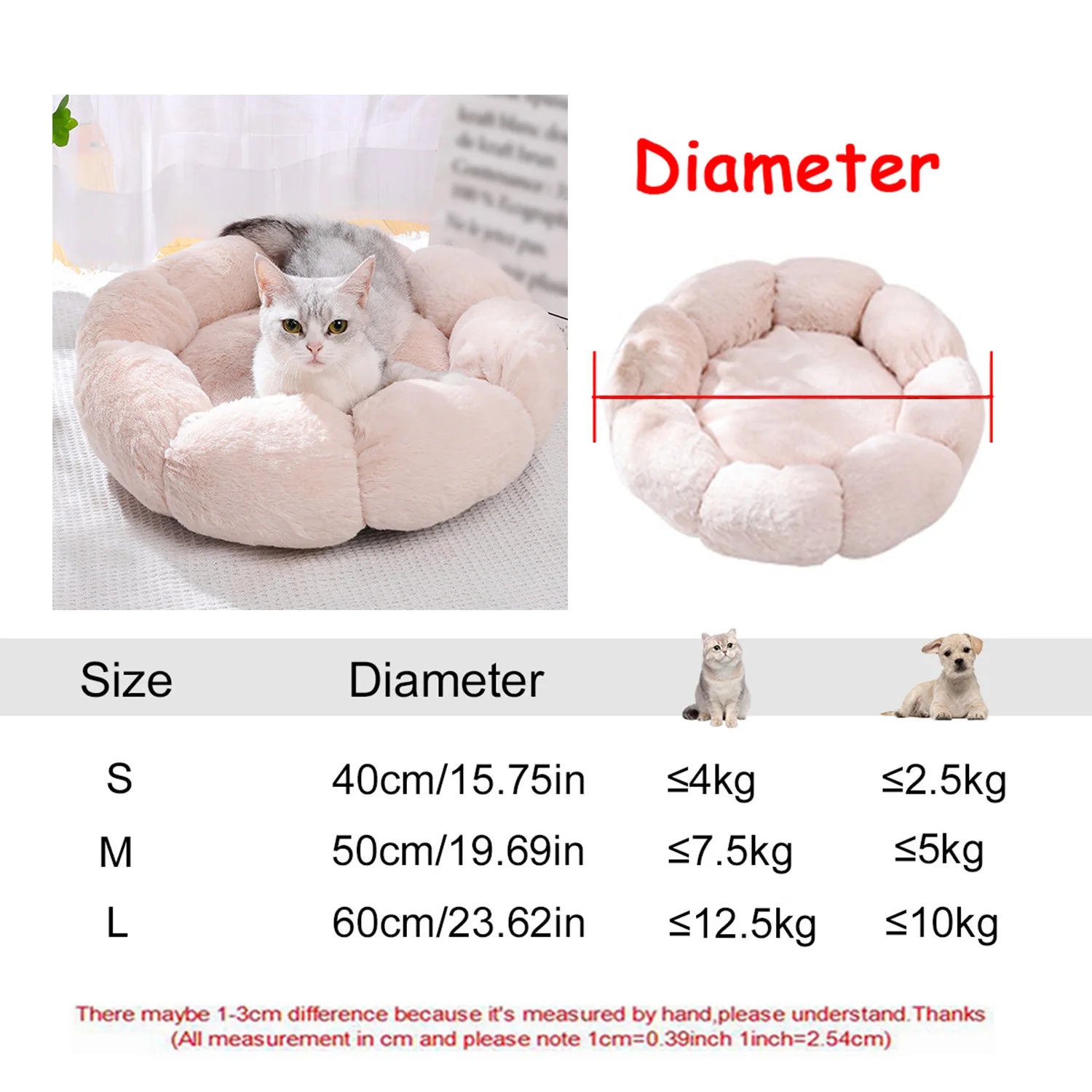 DREAMY NEST