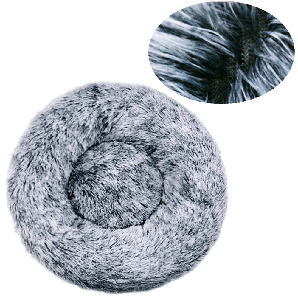 DREAMY NEST