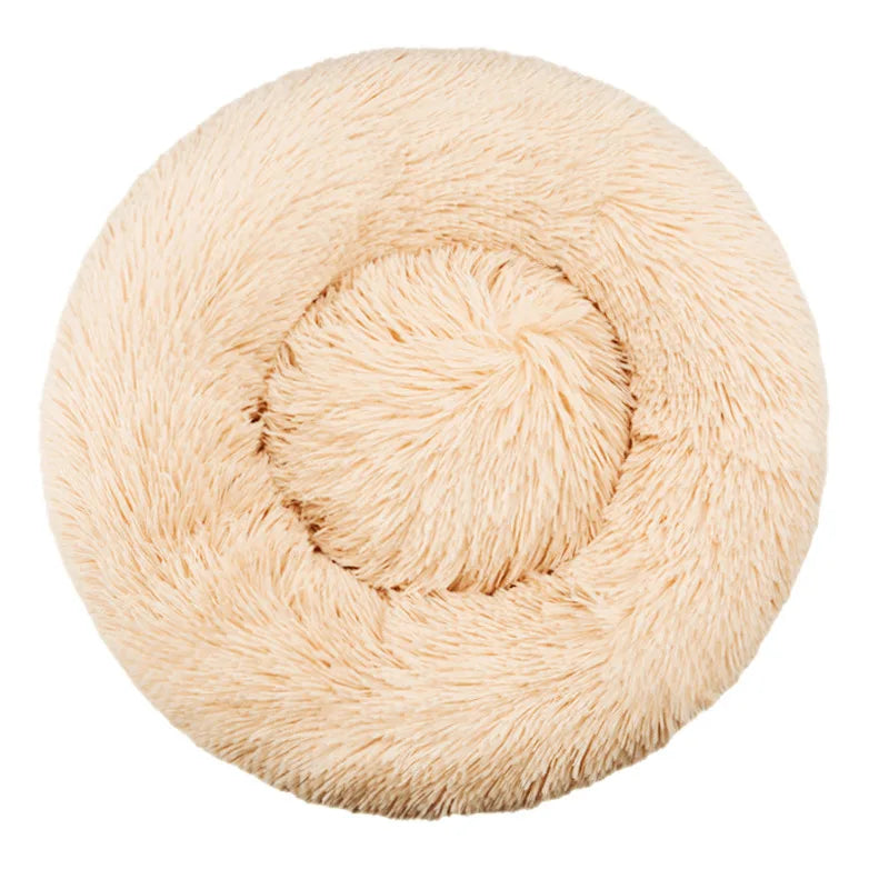 DREAMY NEST