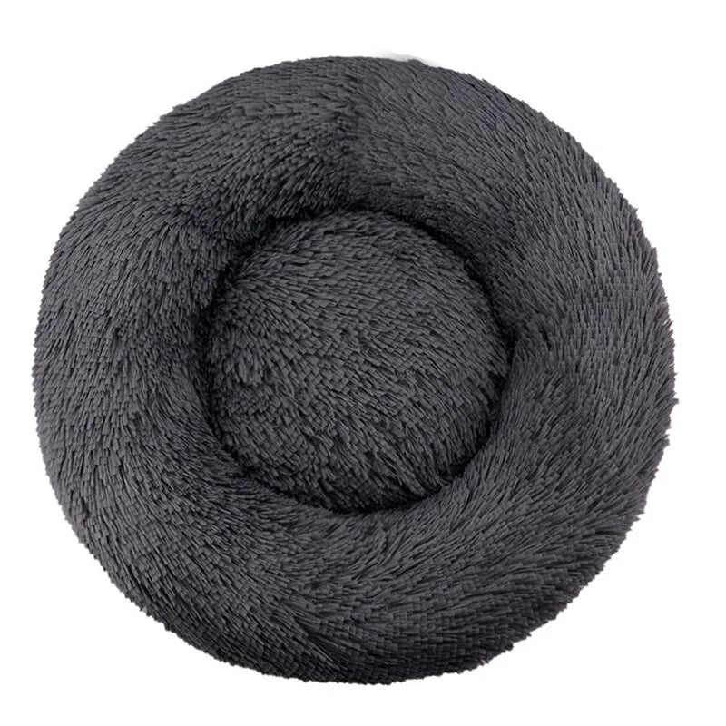 DREAMY NEST