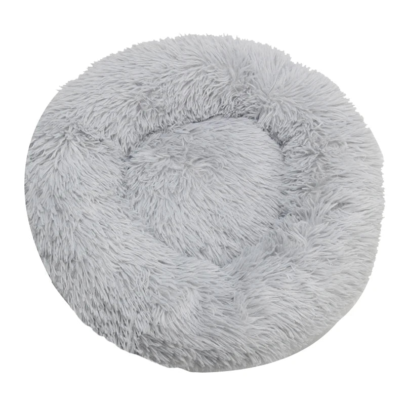DREAMY NEST