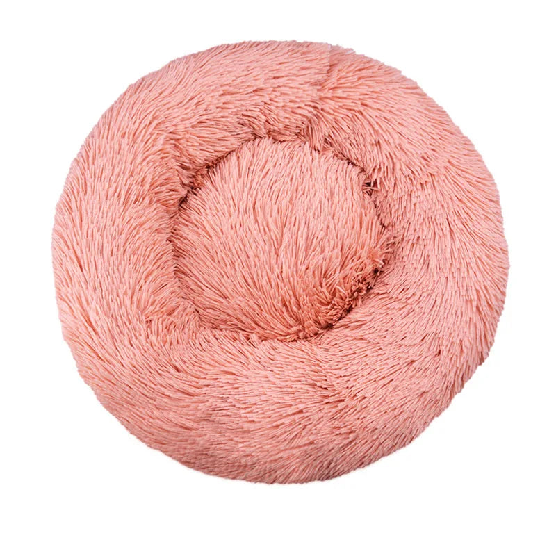 DREAMY NEST