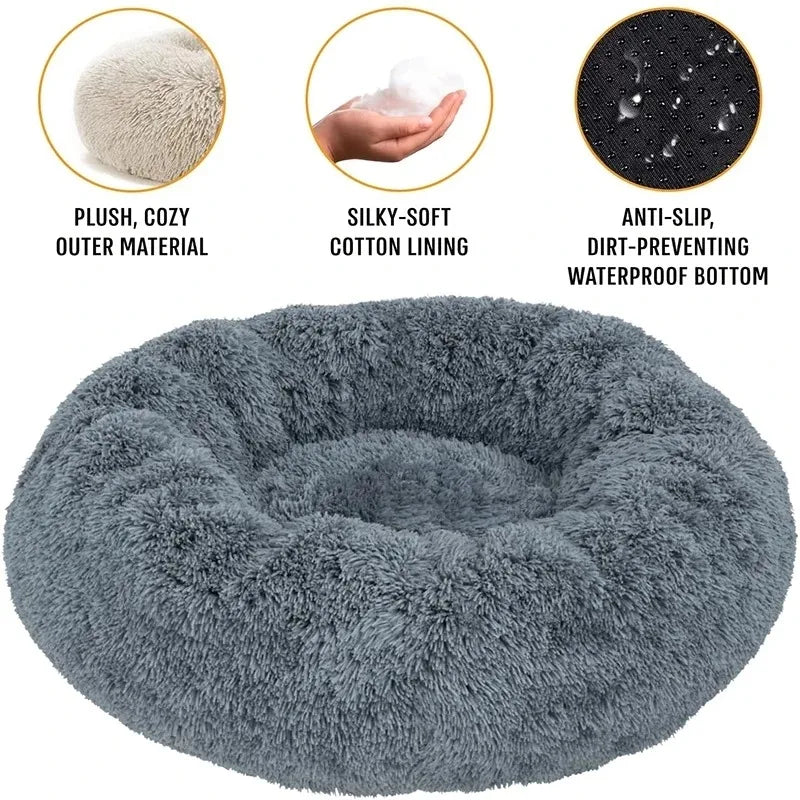 DREAMY NEST