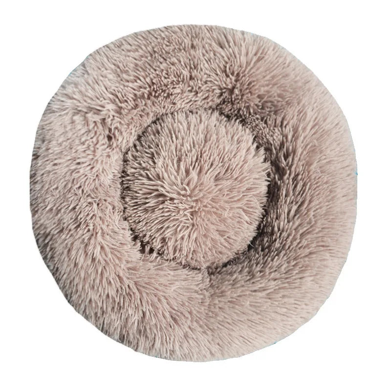 DREAMY NEST