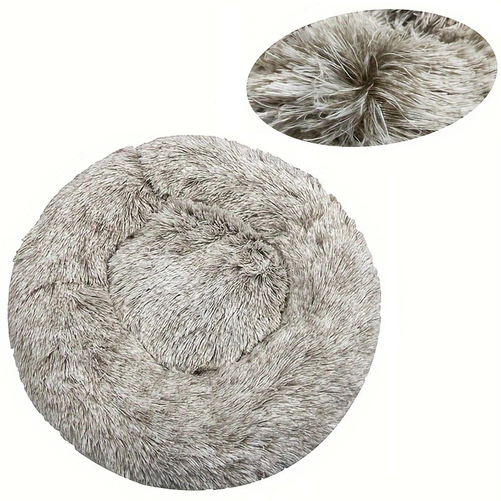 DREAMY NEST