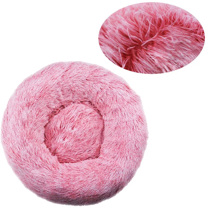 DREAMY NEST