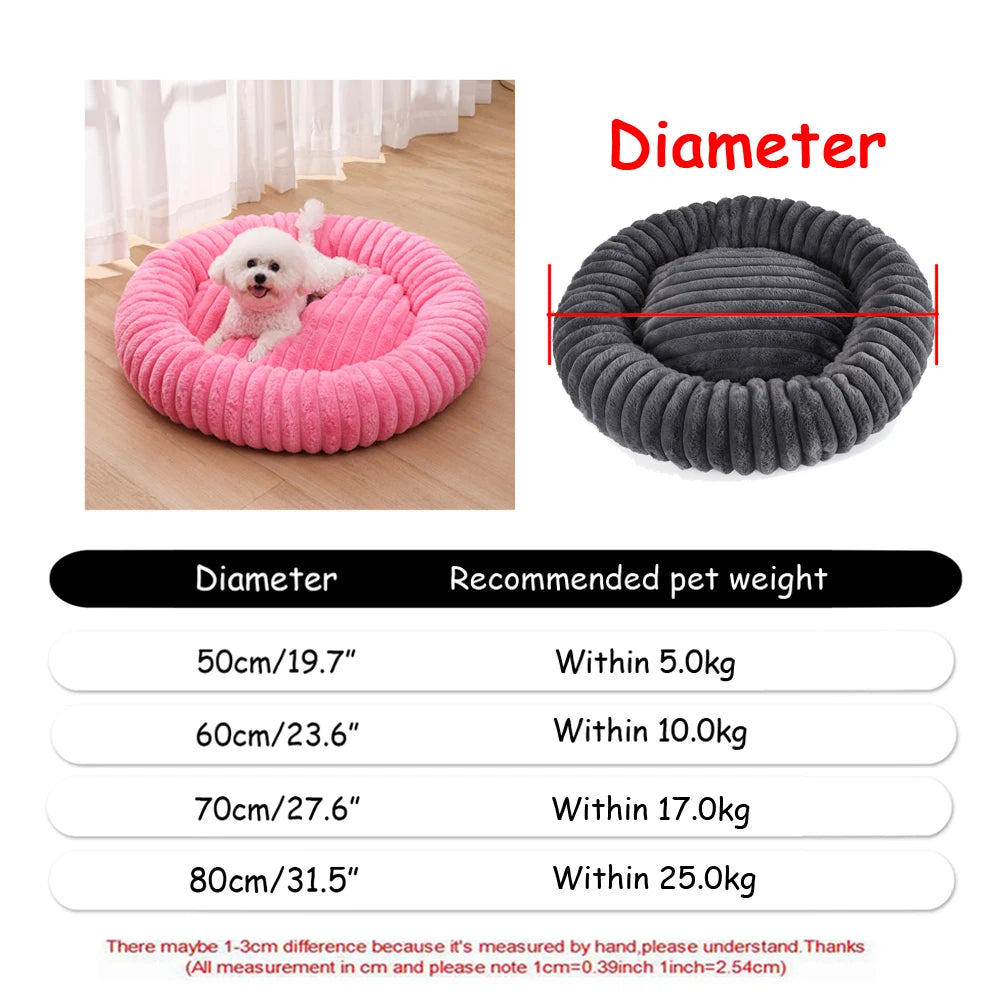 DREAMY NEST
