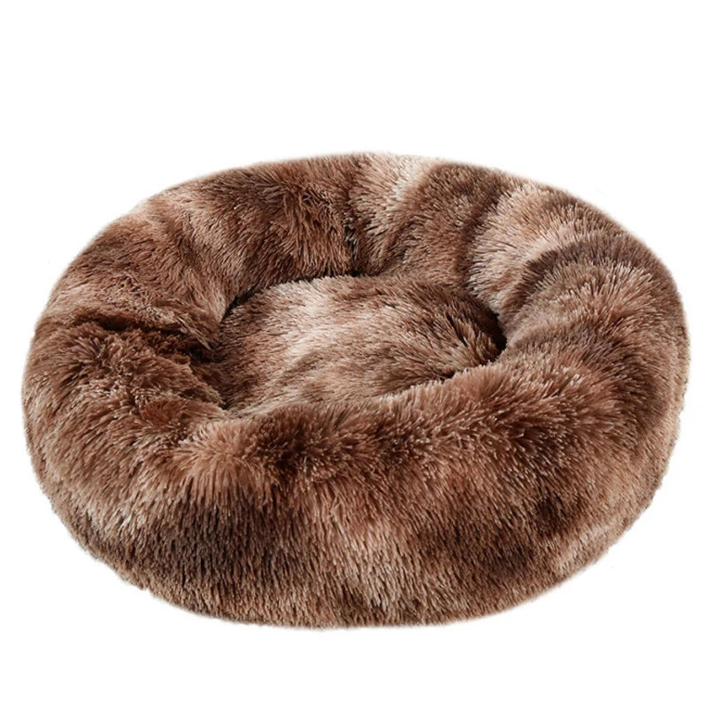 DREAMY NEST