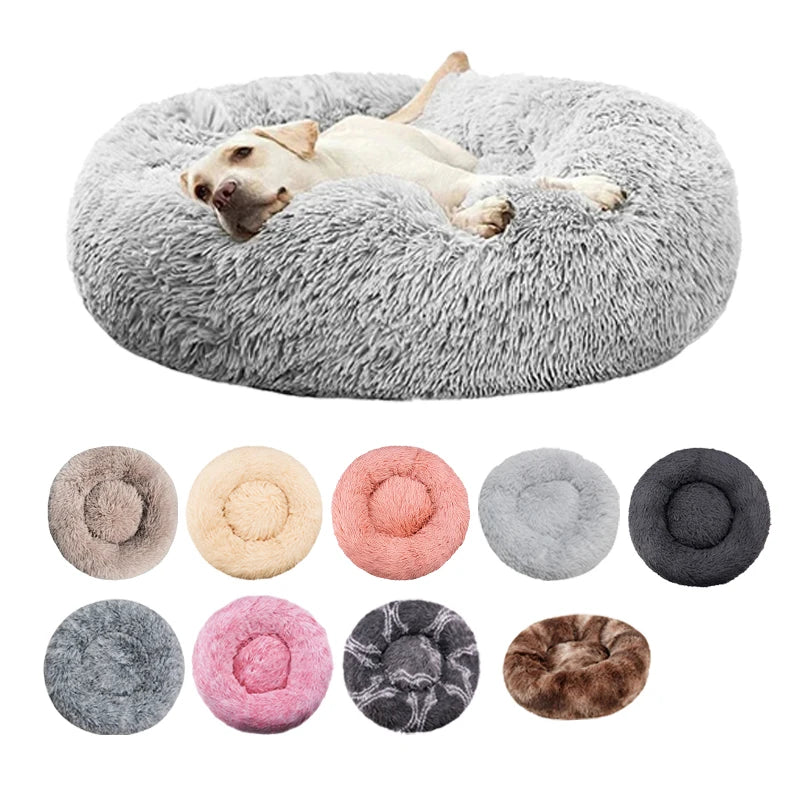DREAMY NEST
